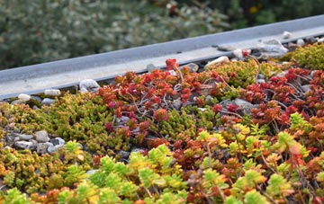 the cost of Downham green roof installation