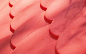 Downham plastic roof costs