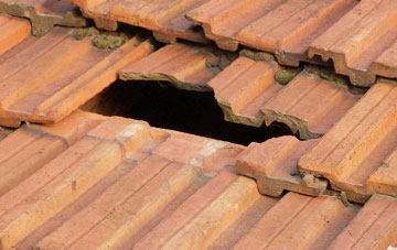 roof repair Downham